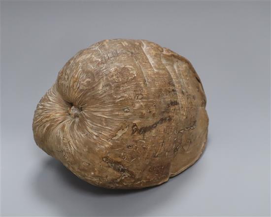 A large gourd